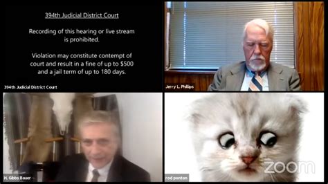 A lawyer showed up to virtual court in the 394th district of texas with a kitten filter turned on. Zoom Cat Lawyer Says He's Not Embarrassed Anymore and Is ...