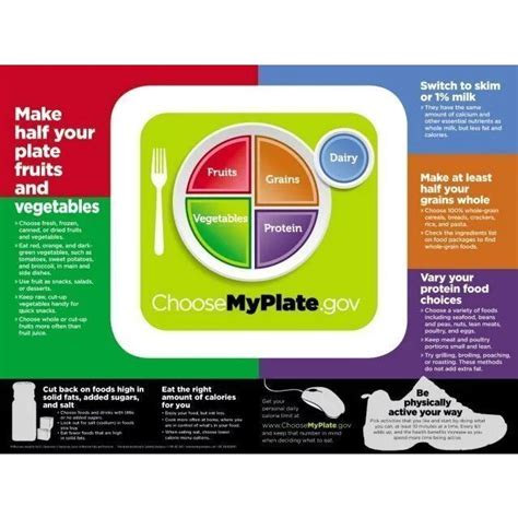 USDA MyPlate Poster 2011 SANE Sewing And Housewares