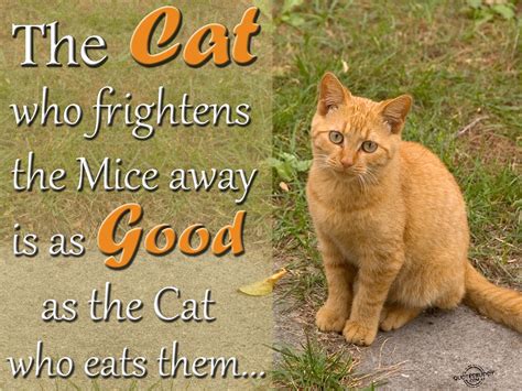 Quotes About Cat And Mouse 44 Quotes