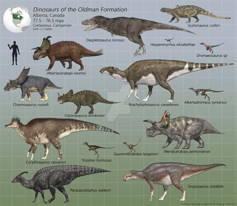 Dinosaurs Of The Oldman Formation Dinosaur Dinosaur Fossils