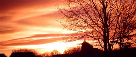 The dawn chorus occurs when birds sing at the start of a new day. Resource Preview - Wild Worship: International Dawn Chorus ...