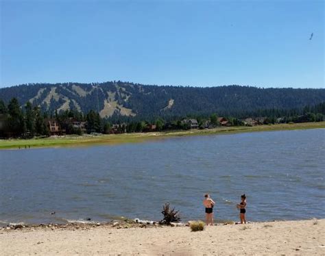 Pet sitter in white bear lake, minnesota. Swim Beach (Big Bear Lake) - 2021 All You Need to Know ...