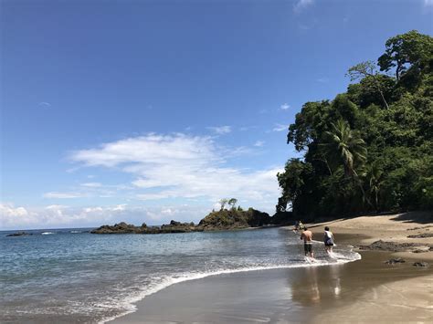The First Timers Guide To Osa Peninsula Costa Rica — Tofu Traveler