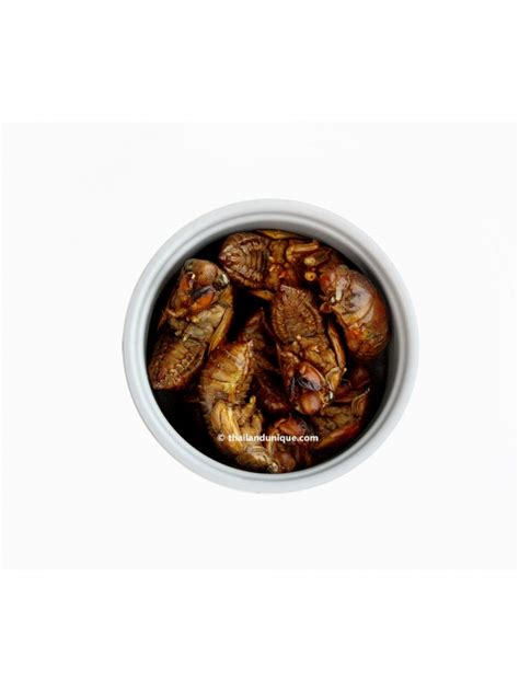 Prints well down to individual wing size of 50mm without adjusting thickness. Edible Cicada For Sale