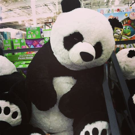 Giant Panda Stuffed Animal Costco Shop Clothing And Shoes Online
