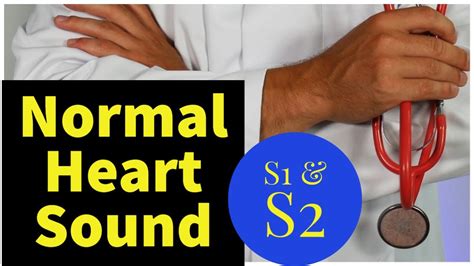 Normal S1 And S2 Heart Sounds With Explanation Youtube