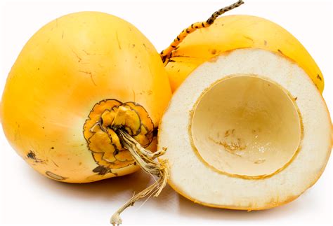 King Coconut Information Recipes And Facts King Coconuts Are A