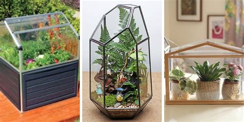 Obsessed with this diy greenhouse made from old windows! 15 Creative DIY Mini Indoor Greenhouses