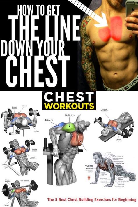 Simple Chest Workouts For Definition For Build Muscle Fitness And