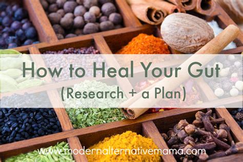 How To Heal Your Gut Research A Plan