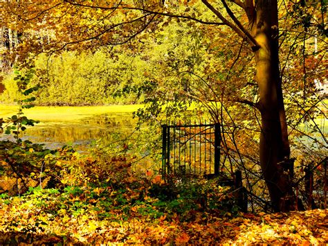 Herbst Foto And Bild Landschaft Jahreszeiten Herbst Bilder Auf
