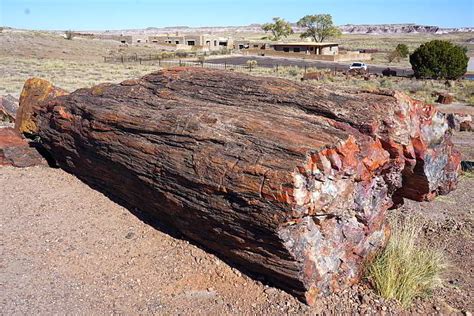 How To Visit Petrified Forest National Park Arizona In One Day
