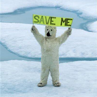 It Is High Time To Save Polar Bears From Extinction Otherwise We Shall