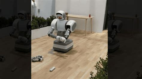 Robots That Do Your Chores Are So Close But So Far