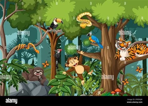 Wild Animal Cartoon Character In The Forest Scene Illustration Stock