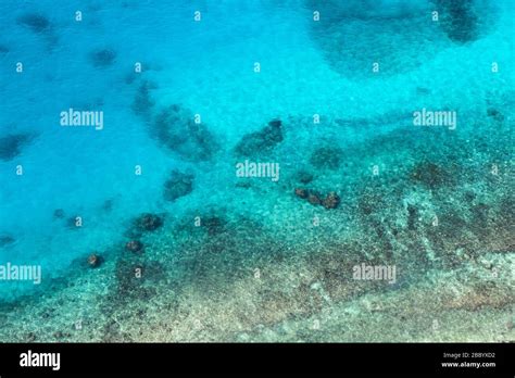 Persian Gulf Rocky Seabed Is Under Blue Shallow Water Natural Photo