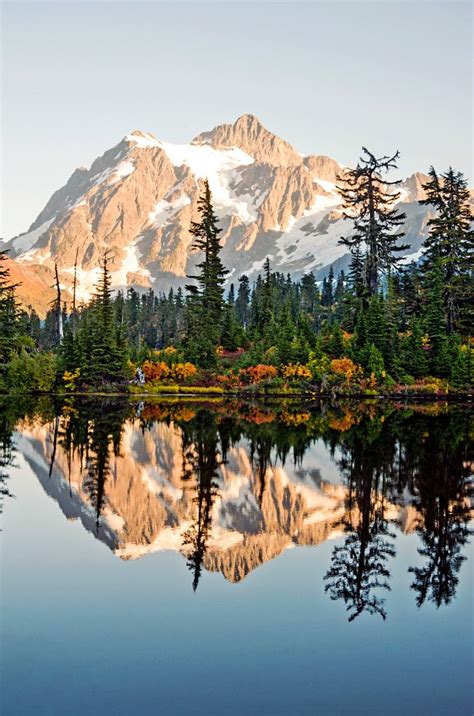 Mt Shuksan Reflected In Picture Lake In North Cascades National Park