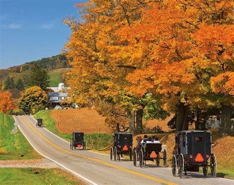 Fall In Amish Country Amish Beliefs Amish Country Country Roads