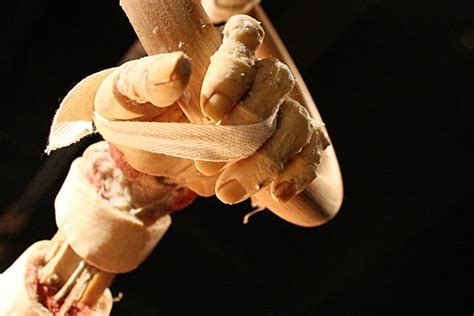 5 Most Common Questions About ‘body Worlds At Portland Science Center
