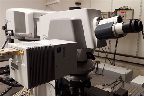 Confocal Laser Scanning Microscopy Max Planck Institute For Plant