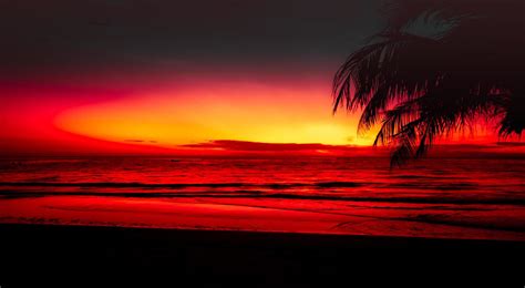 Beach Sunset Background Stock Photos Images And Backgrounds For Free