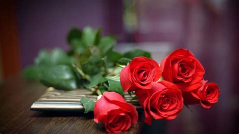 Red Rose Flowers Live Wallpaper Home Alqu