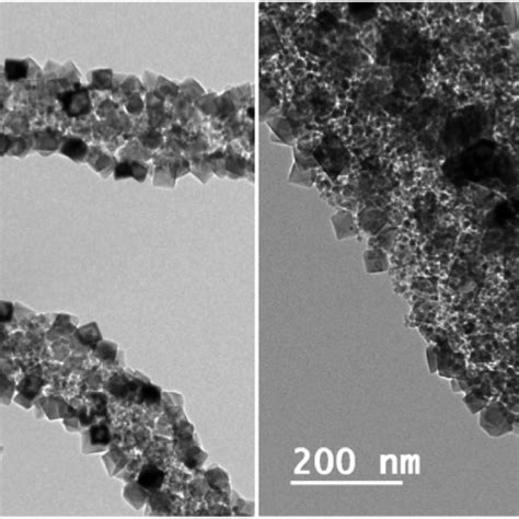 A Bright Field Transmission Electron Microscope Tem Image Of Mgo