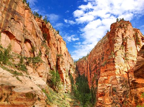 National Parks Winter Tour Grand Canyon Zion And