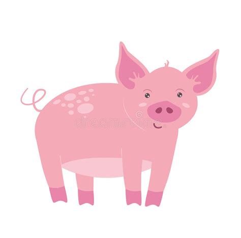 Pink Pigs Cartoon