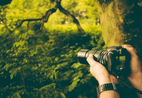 Want To Be Professional Photographer Follow These Photography Techniques