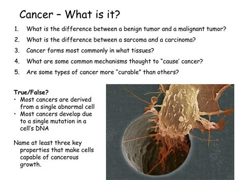 The Difference Between Cancer And Tumor Cancerwalls