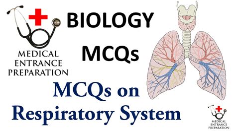Respiratory System MCQs Biology MCQs MBBS Entrance MCQs YouTube