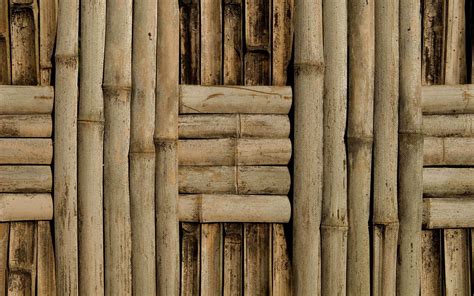 Bamboo Texture Download Photos Bamboo Texture Background