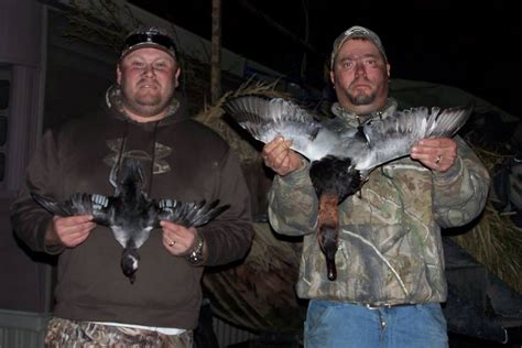 Waterfowl Hunts In Wisconsin