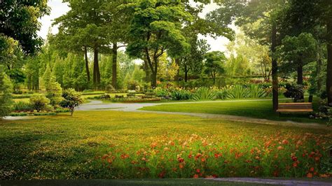 Beautiful Garden View Green Trees Plants Bushes Grass Colorful Flowers
