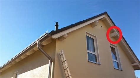 Wespennester in rolläden oder im dach können bauschäden. Wespennest am/im Dach? (Tiere, Wespen, Nest)