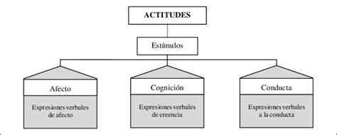 Componentes De La Actitud Download Scientific Diagram