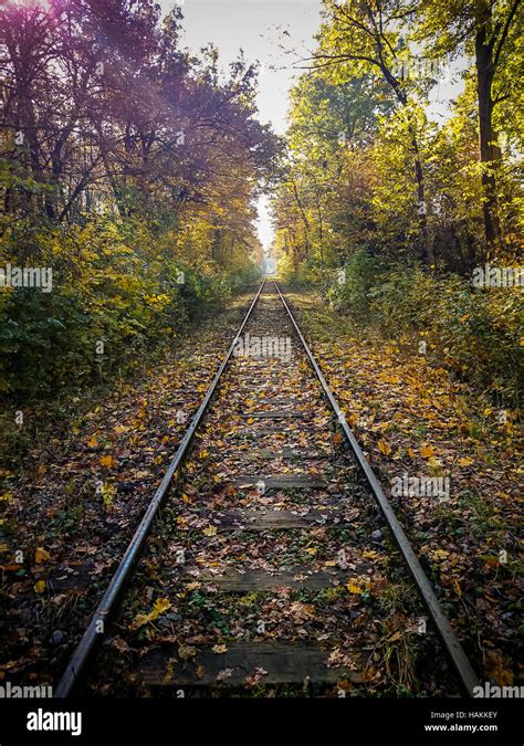 Railroad Rails In Autumn With Sunshine As Vackground Stock Photo Alamy