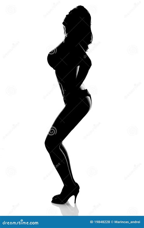 Sexy Woman Silhouette Royalty Free Stock Photos Image 19848228