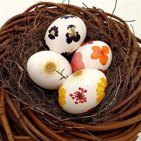 Easy Pressed Flower Easter Egg Tutorial ~ Healthy Recipe