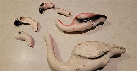 Broken Flamingos Album On Imgur