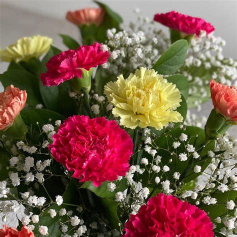 Mixed Carnations For Uk Flower Delivery From Clare Florist
