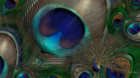 Wallpapers Of Peacock Feathers Hd Wallpapertag