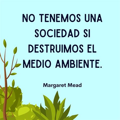 61 Frases Ecológicas Cortas Para Reflexionar Y Proteger La Naturaleza