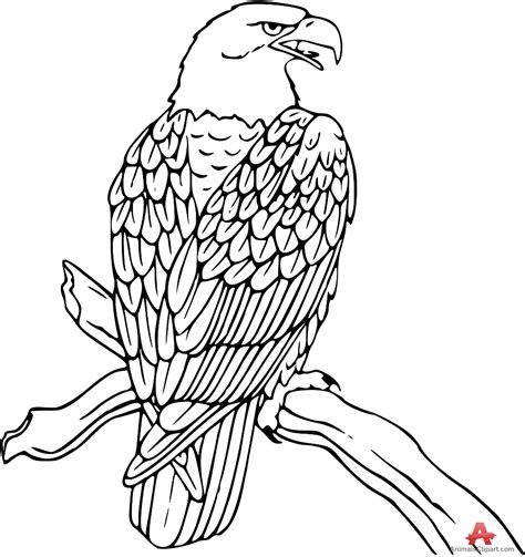 Flying Eagle Pencil Drawing At Getdrawings Free Download