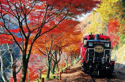 Sagano Scenic Railway Romantic Train In Kyoto Japan Rail Pass Blog