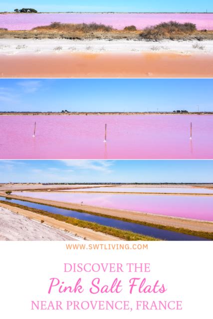Pink Salt Lakes In Camargue An Off The Beaten Path Destination In