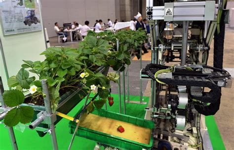 50000 Strawberry Picking Robot To Go On Sale In Japan Cnet