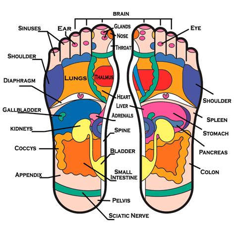 Reflexology And Anxiety Pacific College