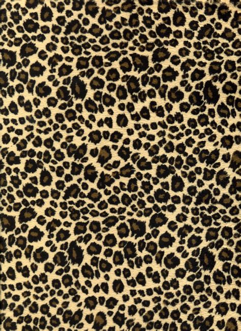 69 Leopard Background
